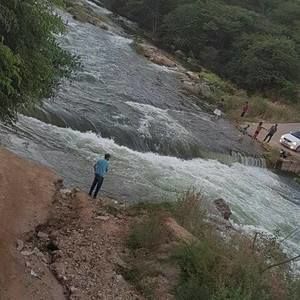 Meet your Posher, Oscar